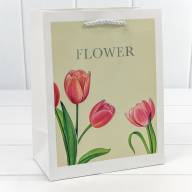 Пакет подарочный с тиснением "Flower" (микс) 18*23*10 210г 1/20 1/360 Арт: 000254E - Пакет подарочный с тиснением "Flower" (микс) 18*23*10 210г 1/20 1/360 Арт: 000254E