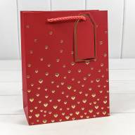 Пакет подарочный с тиснением &quot;Сердечки&quot; (микс 1) 18*23*10 210г 1/20 1/360 Арт: 000880E - Пакет подарочный с тиснением "Сердечки" (микс 1) 18*23*10 210г 1/20 1/360 Арт: 000880E